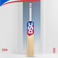 DSC Intense Rage Grade 3 English Willow Cricket Bat – Lightweight Design with Thick Edges, Powerful Sweet Spot & Shock Absorbing Handle - Best Price online Prokicksports.com