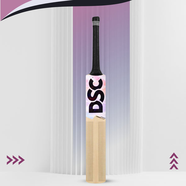 DSC Condor Flicker Kashmir Willow Cricket Bat