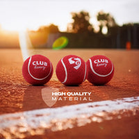 SG Club Heavy Cricket Balls Red – Durable Leather Ball for Adult Practice, Strength Training, and Skill Building in Nets or Outdoor Matches - Best Price online Prokicksports.com