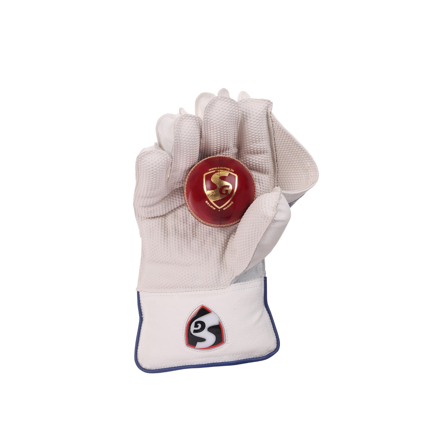 SG Club Wicket Keeping Gloves - Best Price online Prokicksports.com