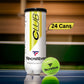 Tecnifibre Club Tennis Balls Carton (24 Cans) - Best Price online Prokicksports.com
