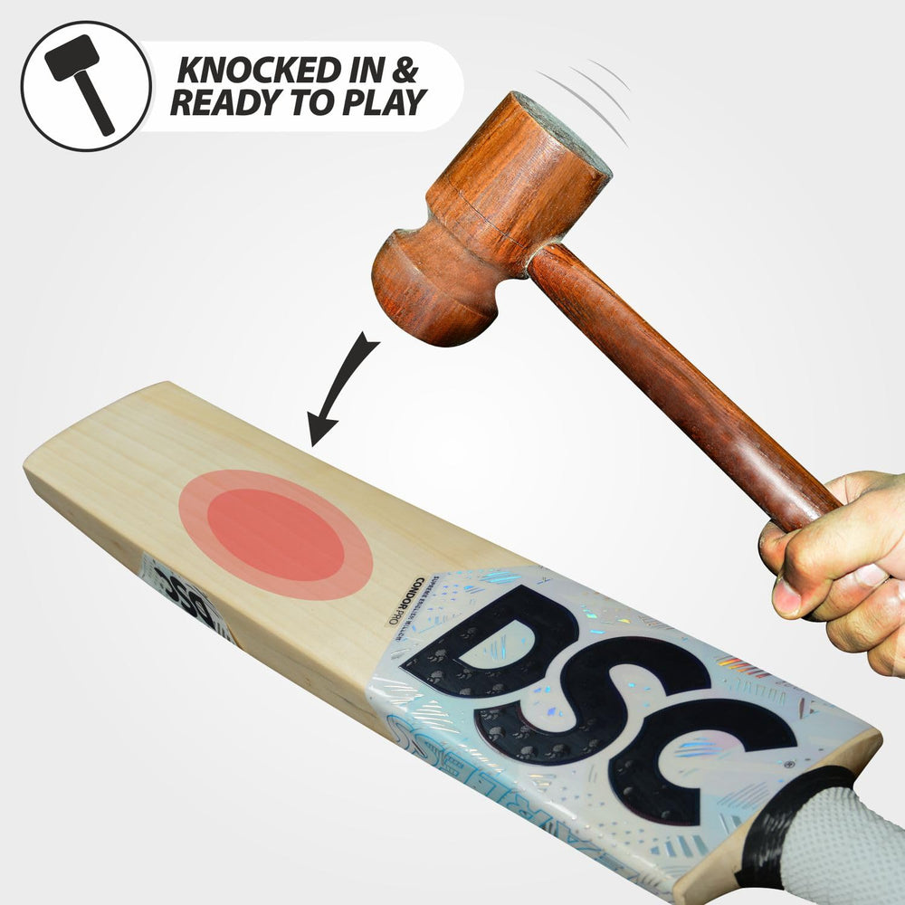 DSC Condor Motion English Willow Cricket Bat – Lightweight Grade Willow Bat for Powerful Stroke Play, Balance, and Performance in All Formats - Best Price online Prokicksports.com