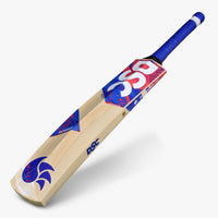 DSC Intense Force Kashmir Willow Cricket Bat | Size 2 | Lightweight & Durable | Perfect for Young Players - Best Price online Prokicksports.com