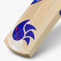 DSC Intense Force Kashmir Willow Cricket Bat | Size 2 | Lightweight & Durable | Perfect for Young Players - Best Price online Prokicksports.com