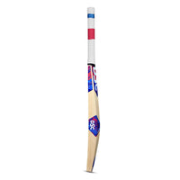 DSC Intense Pro Middler Kashmir Willow Cricket Bat | Lightweight & Powerful Stroke Play | Short Handle for Mens - Best Price online Prokicksports.com