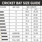 DSC Lava Kashmir Willow Cricket Bat | Powerful Stroke Play | Durable & Lightweight - Best Price online Prokicksports.com