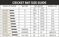 DSC County Super Kashmir Willow Cricket Bat | Short Handle | Size - Mens | Powerful & Durable Bat for All-Round Performance - Best Price online Prokicksports.com