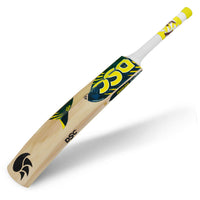 DSC Roar Blast Kashmir Willow Cricket Bat | Powerful & Durable | Perfect for All-Round Play - Best Price online Prokicksports.com