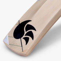 DSC Condor Scud Kashmir Willow Cricket Bat - Best Price online Prokicksports.com