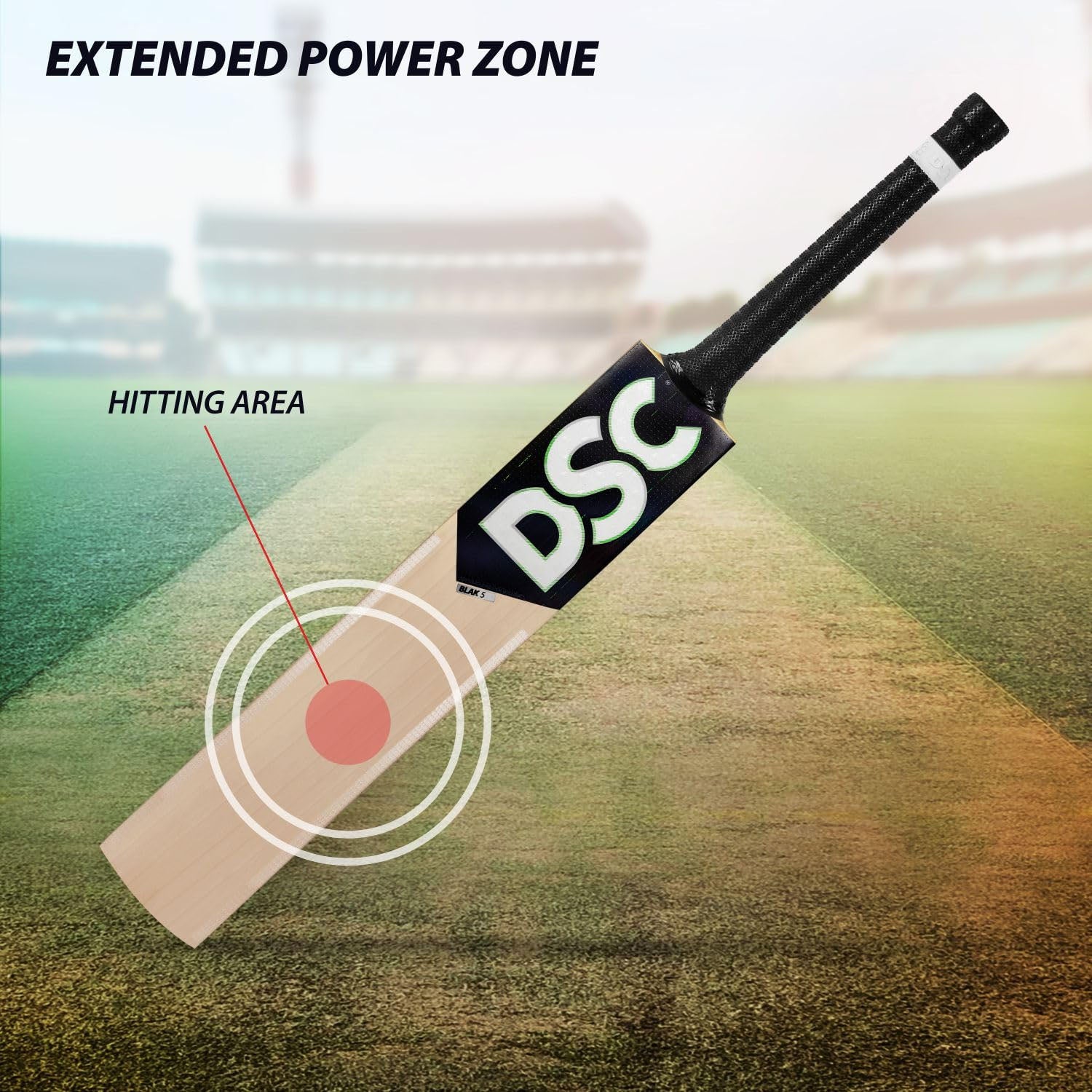 DSC BLAK 5 English Willow Cricket Bat - Best Price online Prokicksports.com