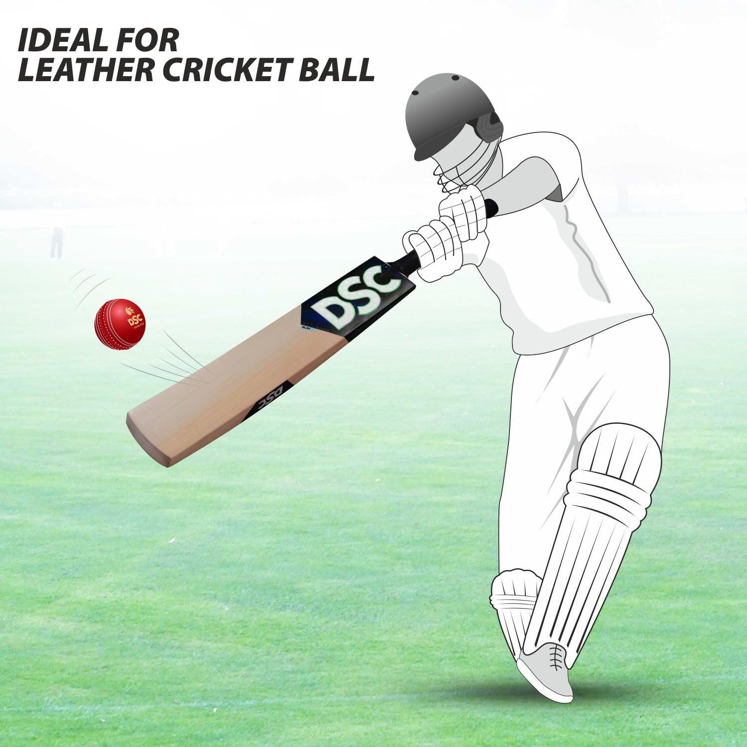 DSC BLAK 5 English Willow Cricket Bat - Best Price online Prokicksports.com
