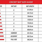 DSC BLAK 5 English Willow Cricket Bat - Best Price online Prokicksports.com