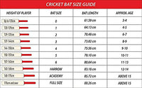 DSC BLAK 5 English Willow Cricket Bat - Best Price online Prokicksports.com