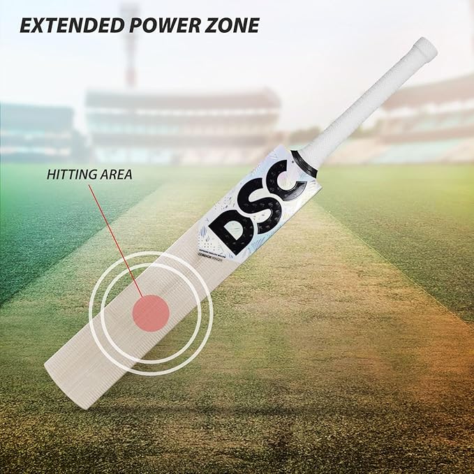 DSC Condor Winger English Willow Cricket Bat - Best Price online Prokicksports.com