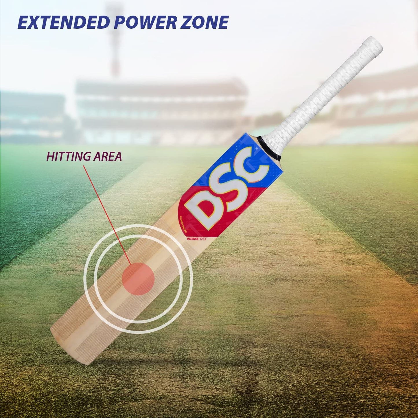 DSC Intense Force Kashmir Willow Cricket Bat - Best Price online Prokicksports.com