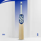 DSC Blu 200 English Willow Cricket Bat - Best Price online Prokicksports.com