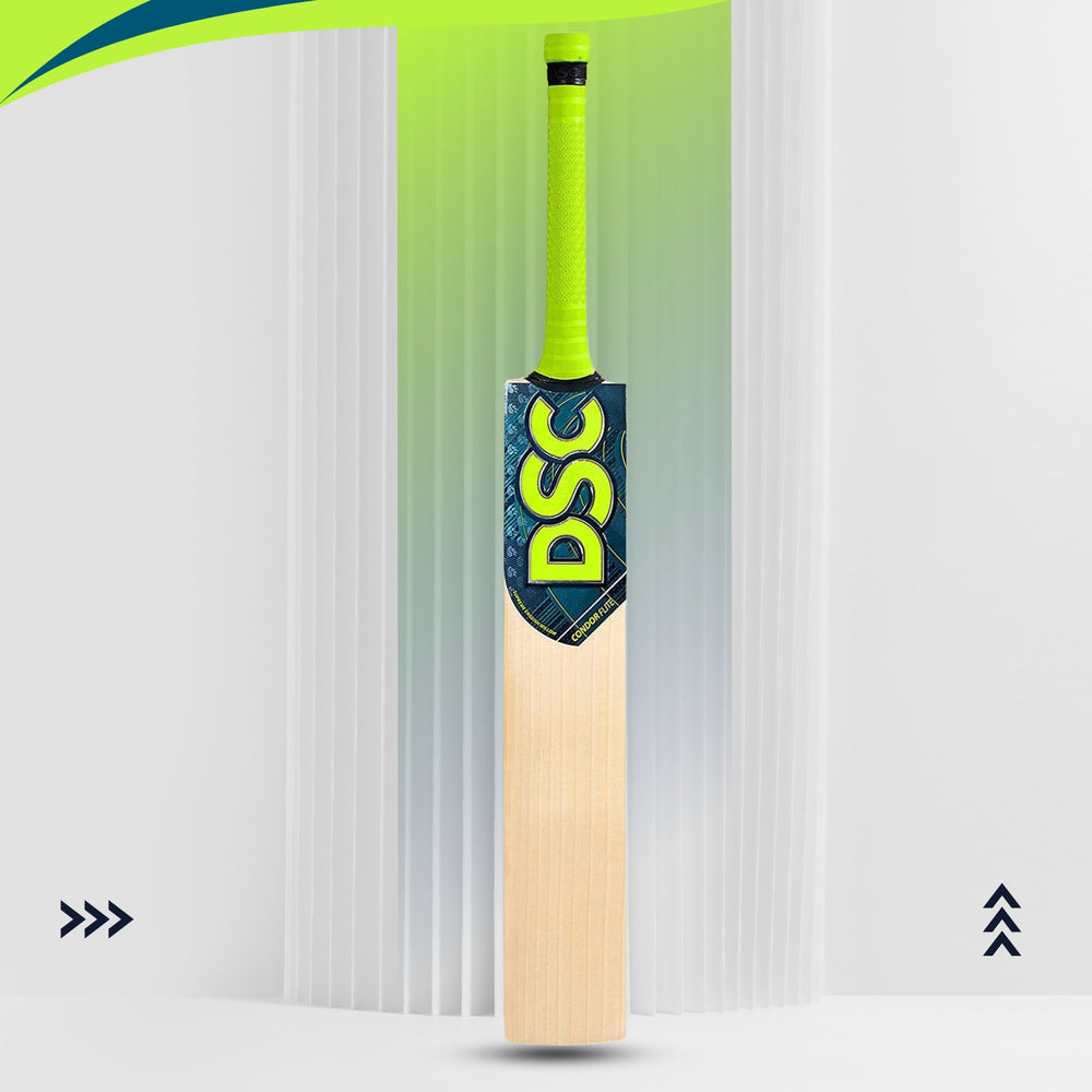 DSC Condor Flite English Willow Cricket Bat