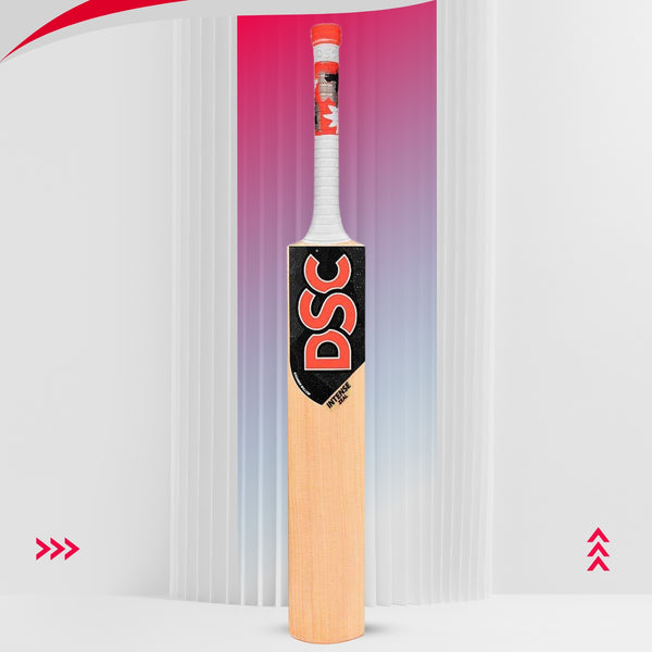 DSC Intense Zeal Kashmir Willow Cricket Bat