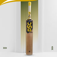 DSC Radius Kashmir Willow Cricket Bat - Best Price online Prokicksports.com