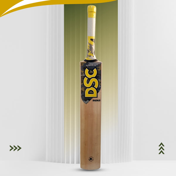 DSC Radius Kashmir Willow Cricket Bat