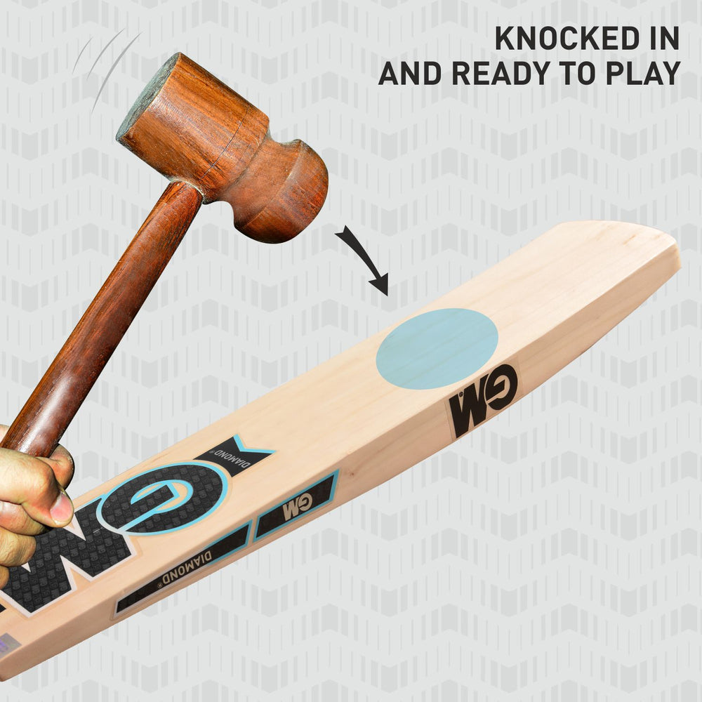 GM Diamond 202 Kashmir Willow Cricket Bat - Best Price online Prokicksports.com