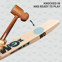 GM Diamond 202 Kashmir Willow Cricket Bat - Best Price online Prokicksports.com