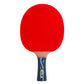 Donic Legends Platinum Table Tennis Bat with Cover - Best Price online Prokicksports.com