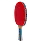 Donic Legends Platinum Table Tennis Bat with Cover - Best Price online Prokicksports.com