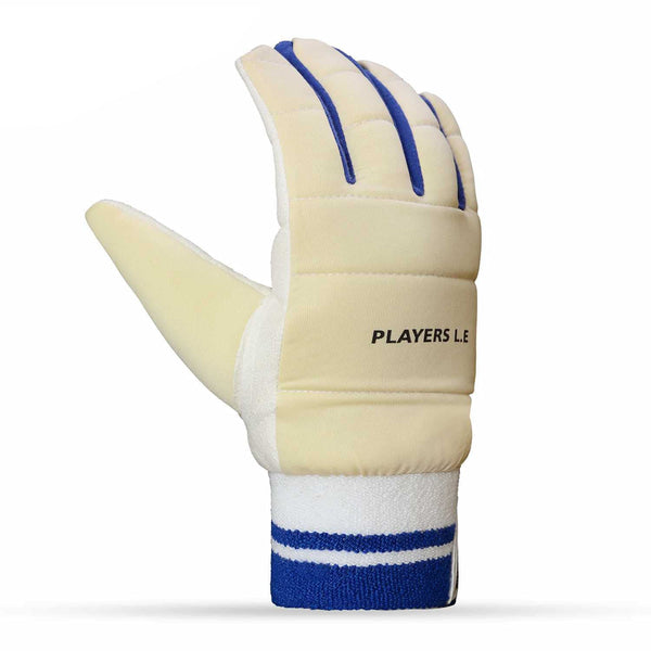 DSC Player Edition Wicket Keeping Inner Gloves