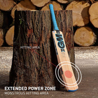 GM Neon Maestro Kashmir Willow Cricket Bat | Men's Cricket Bat | Lightweight & Powerful for Leather Ball Cricket - Best Price online Prokicksports.com