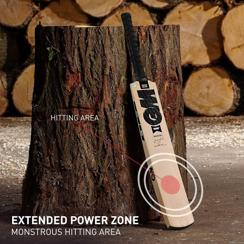 GM Noir Maestro Kashmir Willow Cricket Bat | Men's Cricket Bat | Powerful & Durable for Leather Ball Cricket - Best Price online Prokicksports.com