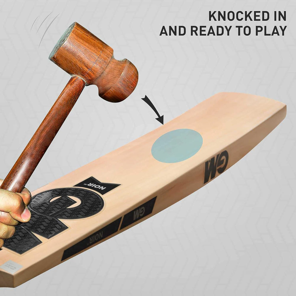GM Noir Maestro Kashmir Willow Cricket Bat | Men's Cricket Bat | Powerful & Durable for Leather Ball Cricket - Best Price online Prokicksports.com