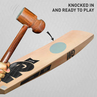 GM Noir Maestro Kashmir Willow Cricket Bat | Men's Cricket Bat | Powerful & Durable for Leather Ball Cricket - Best Price online Prokicksports.com