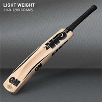 GM Noir Maestro Kashmir Willow Cricket Bat | Men's Cricket Bat | Powerful & Durable for Leather Ball Cricket - Best Price online Prokicksports.com