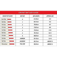 GM Brava 707 English Willow Cricket Bat - Best Price online Prokicksports.com