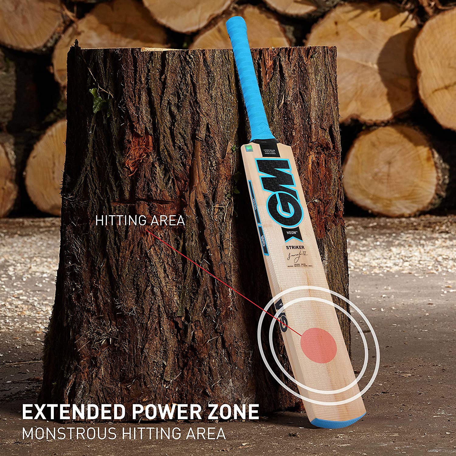 GM Neon Striker Kashmir Willow Cricket Bat - Best Price online Prokicksports.com
