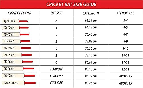 GM Kryos 303 English Willow Cricket Bat - Best Price online Prokicksports.com