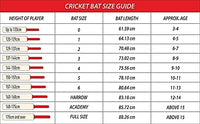 GM Kryos 303 English Willow Cricket Bat - Best Price online Prokicksports.com