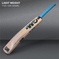GM Diamond Maestro Kashmir Willow Cricket Bat – Men's | Lightweight, Durable & Powerful Stroke Play - Best Price online Prokicksports.com