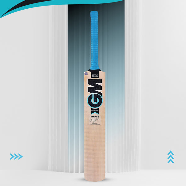 GM Diamond Striker Kashmir Willow Cricket Bat