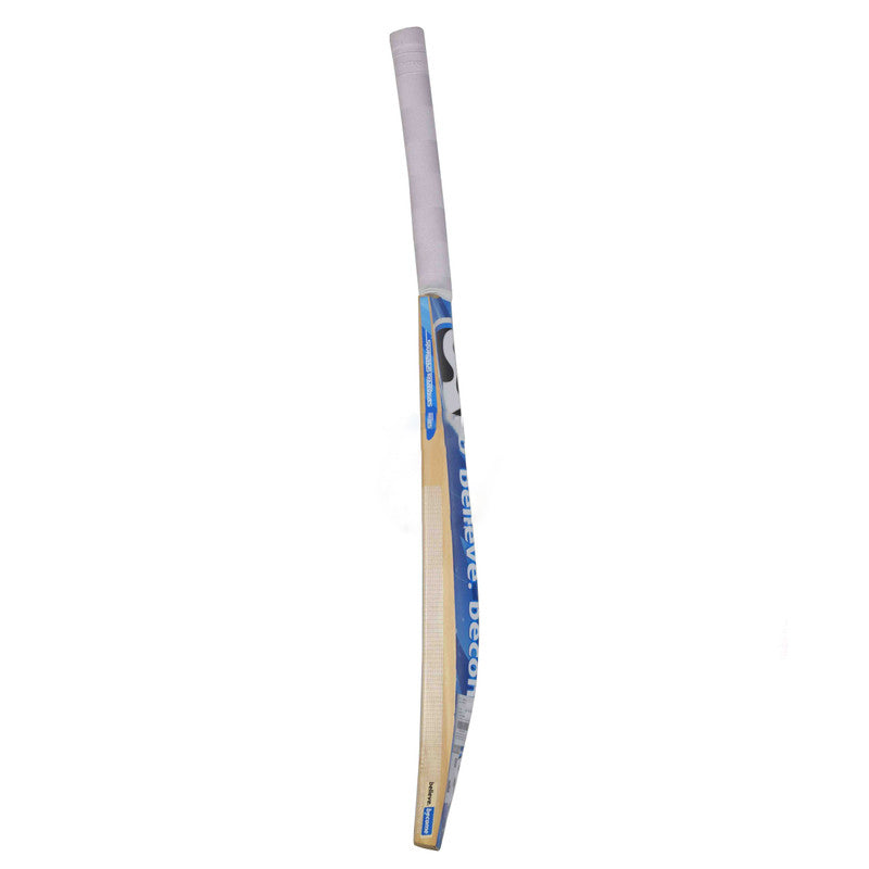 SG HP Plus Kashmir Willow Cricket Bat - Best Price online Prokicksports.com