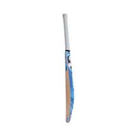 SG HP Blitz English Willow Cricket Bat - Best Price online Prokicksports.com