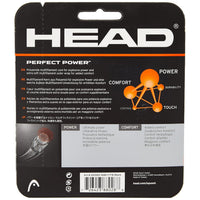 Head Perfect Power Squash String 16g (Black) - Best Price online Prokicksports.com