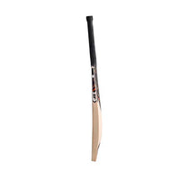 SF Jumbo 500 Kashmir Willow Cricket Bat – Lightweight Power Bat with Thick Edges for Beginners and Club Players - Best Price online Prokicksports.com
