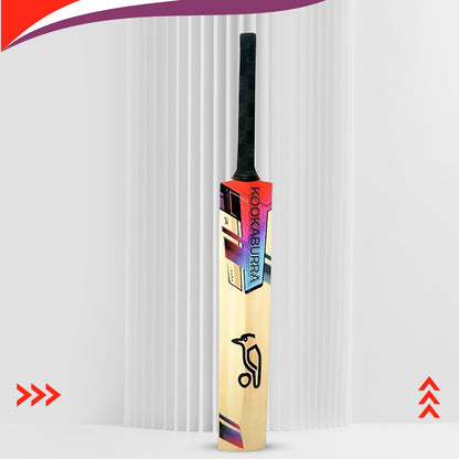 Kookaburra Aura Pro 9.0 Kashmir Willow Cricket Bat | Lightweight Power Bat for Tennis & Leather Ball | Ideal for Beginners & Intermediate Players - Best Price online Prokicksports.com
