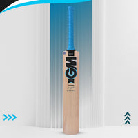 GM Diamond Maestro Kashmir Willow Cricket Bat – Men's | Lightweight, Durable & Powerful Stroke Play - Best Price online Prokicksports.com