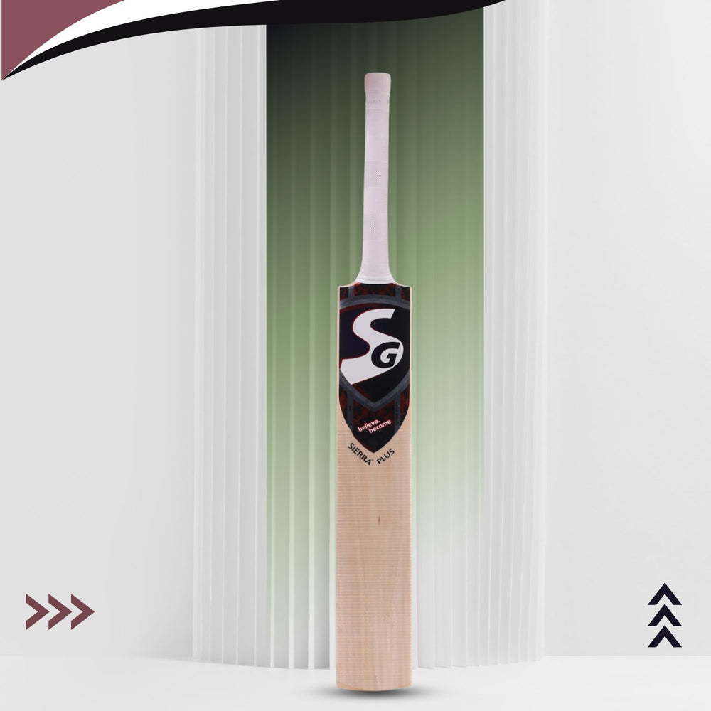 SG Sierra Plus Kashmir Willow Cricket Bat