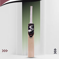 SG Sierra Plus Kashmir Willow Cricket Bat - Best Price online Prokicksports.com