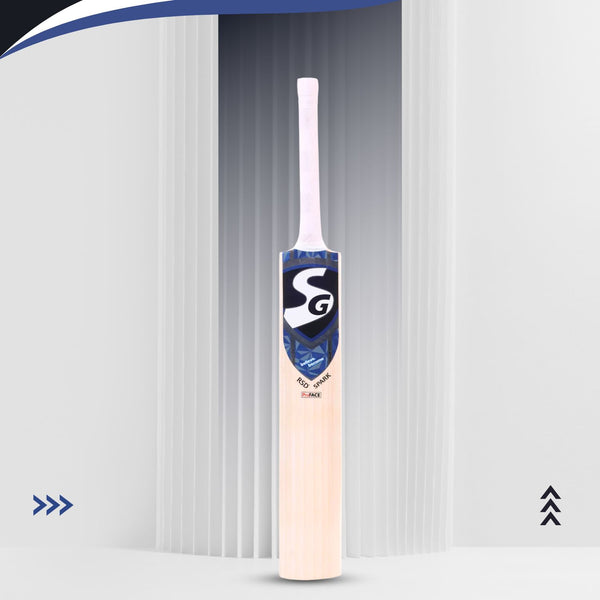 SG RSD Spark Kashmir Willow Cricket Bat