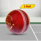Prokick Campus Cricket Leather Ball Standard Size, 1Pc (Red) - Best Price online Prokicksports.com